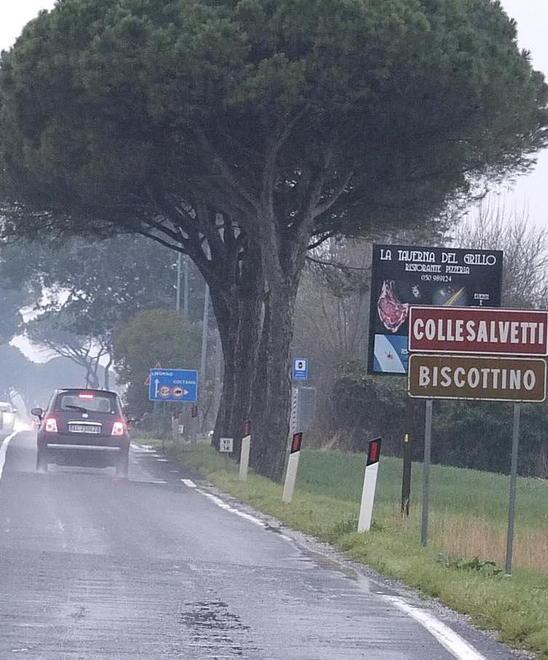 Travolto da un’auto: 24enne gravissimo 