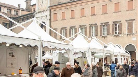 Sindaco e Pd: «L’antifascismo non si esprime con la violenza»