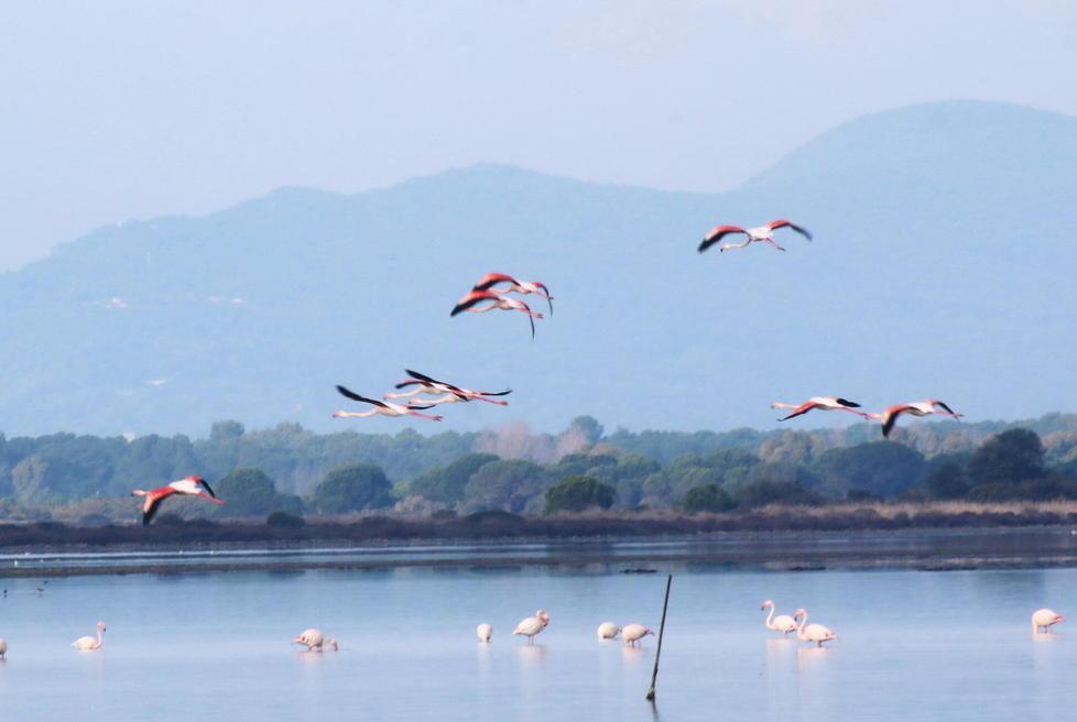 Laguna, ok alle operazioni di bonifica