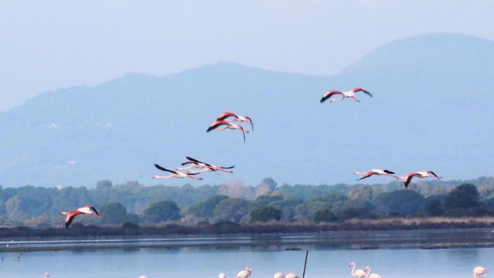 Laguna, ok alle operazioni di bonifica