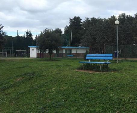 Calcio, bufera sul bando «Sbagliato il gestore unico» 
