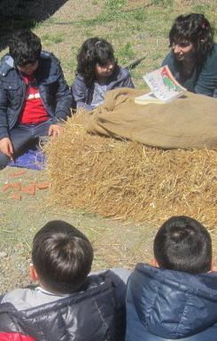 Sostenibilità ambientale: nuovi progetti con le scuole