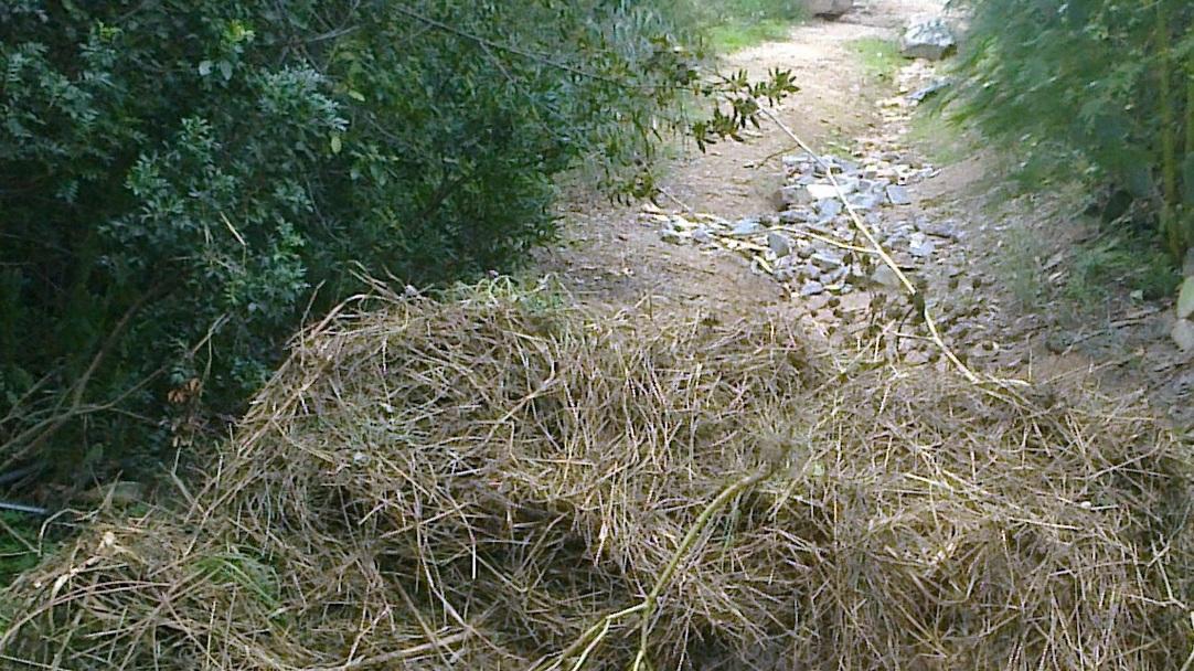 La strada per San Gemiliano è invasa da sterpaglie e rifiuti