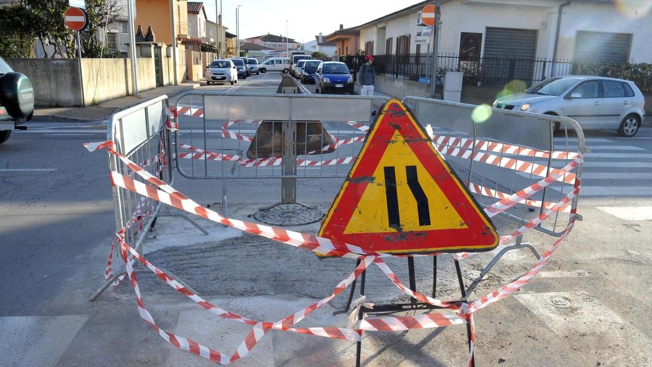 Una colonia felina nel regno del degrado