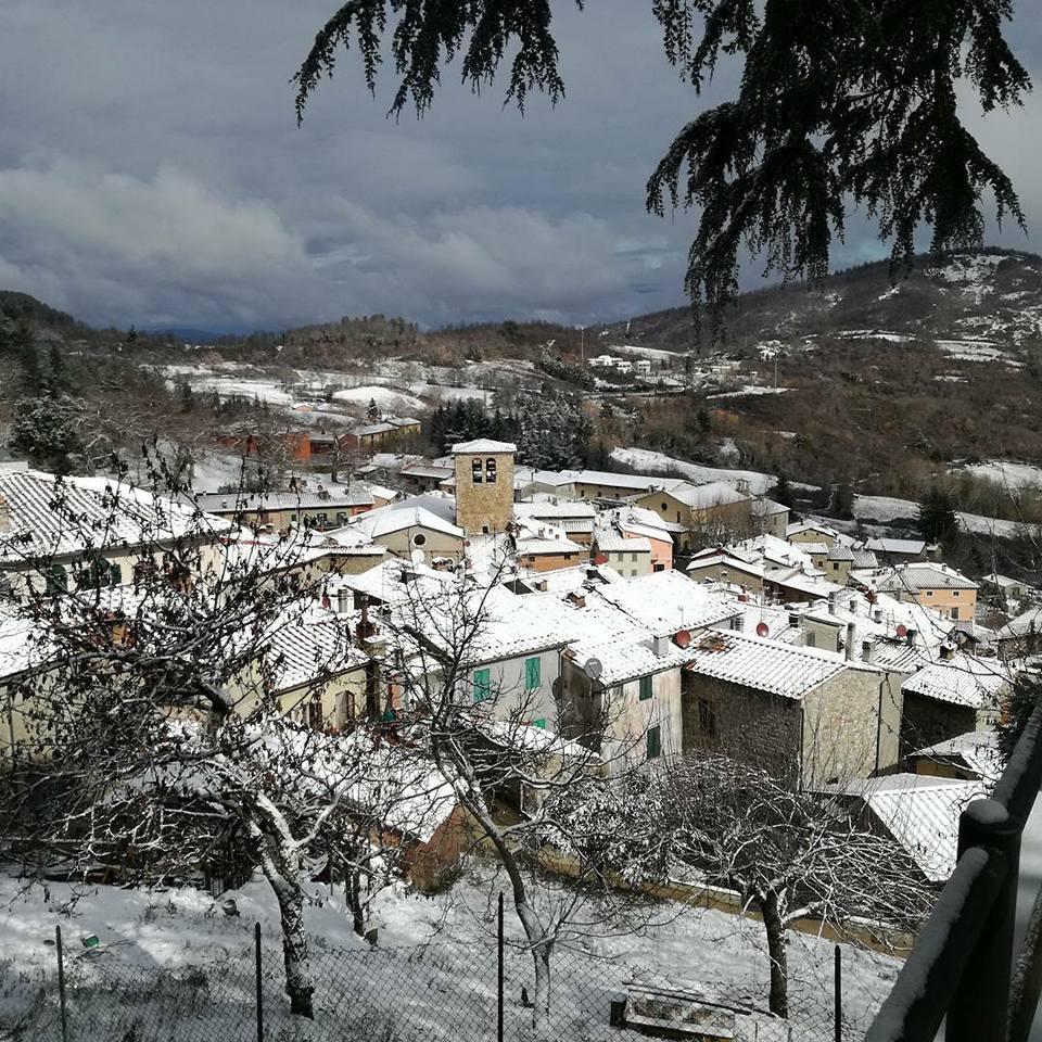 Neve a Montieri (foglio da Facebook di Lina Marques)