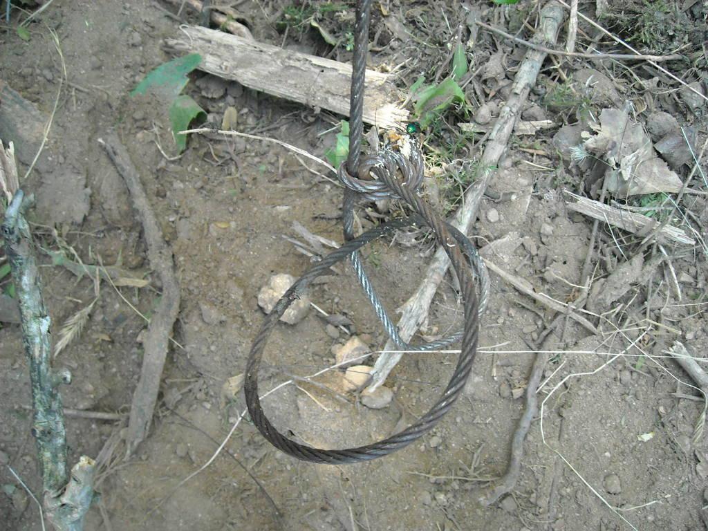 Bracconaggio nel Sulcis e nel Sarrabus: sette denunce