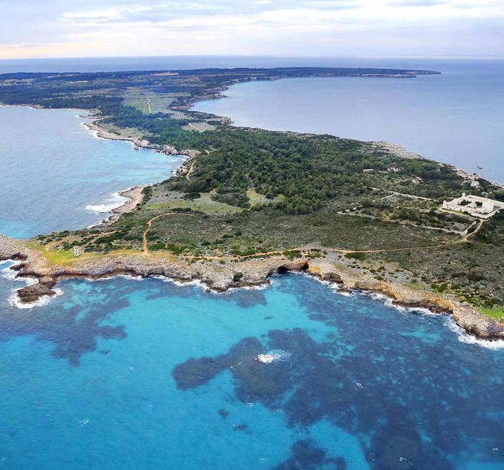 Fagiani e pernici via da Pianosa Summit all’Enfola 