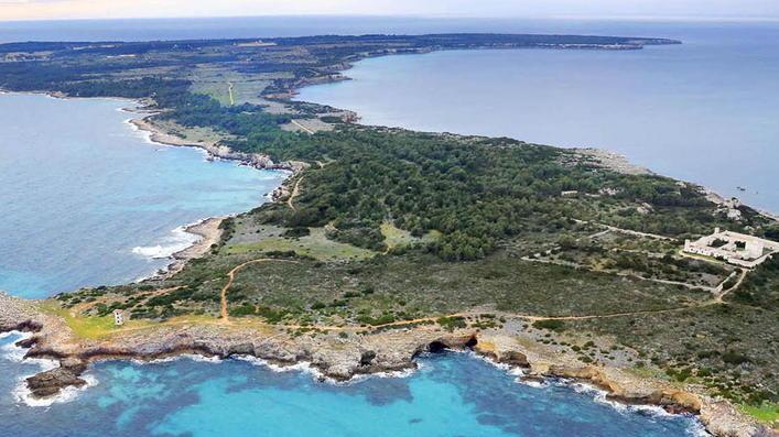 Fagiani e pernici via da Pianosa Summit all’Enfola
