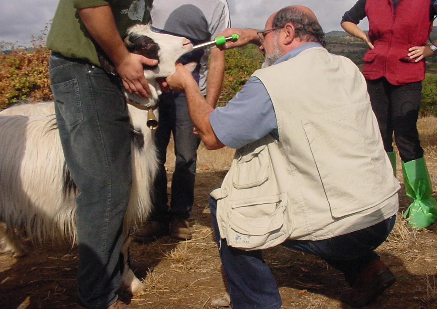 Apa, licenziati tredici lavoratori 