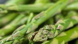 L’asparago verde, una coltura in espansione