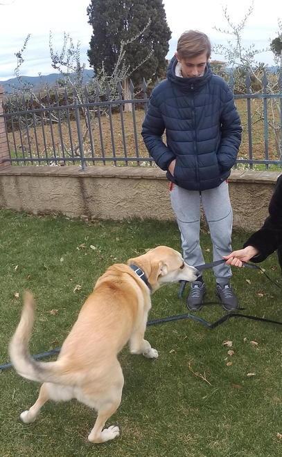 A 17 anni è l’amico dei lupi e lo Stato lo premia - Video