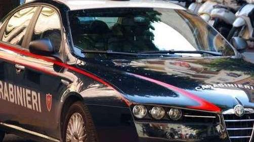 Uccide un labrador e poi confessa: volevo proteggere il mio gregge
