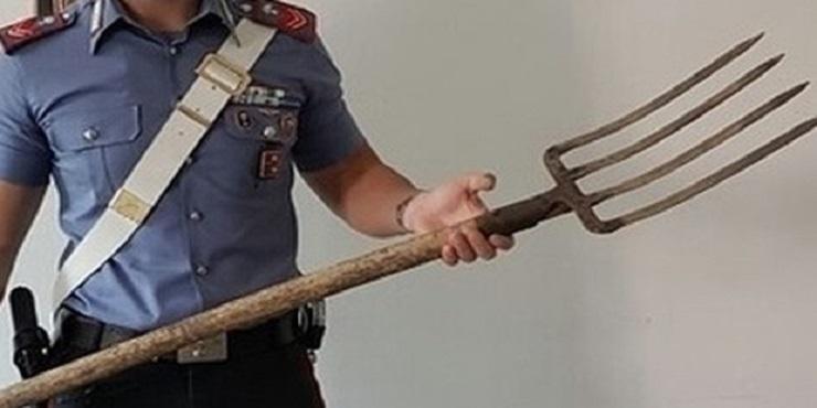 Allevatore di Poviglio punta il forcone alla gola del veterinario