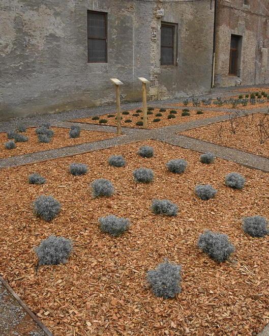 Il giardino archeologico si apre alla città 