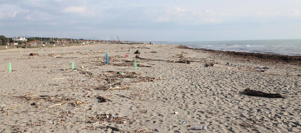 Via al bando per la spiaggia libera 