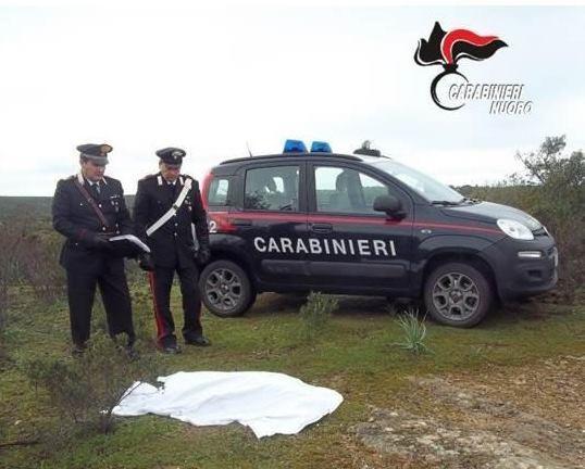 Confessa l’allevatore che ha ucciso il cane 