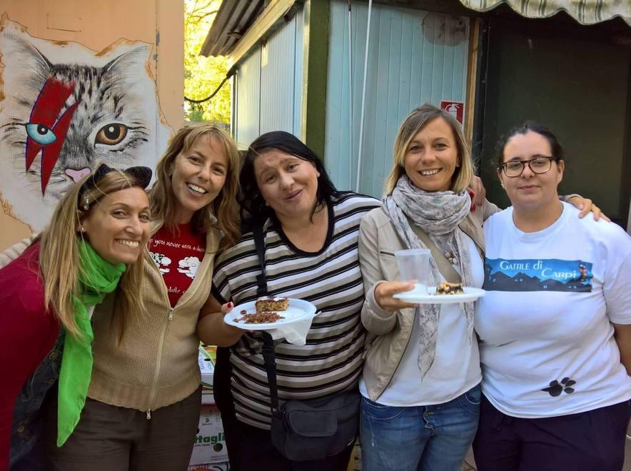Gattile, adottati 282 felini e ne arrivano anche dal sud
