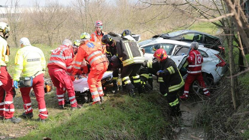 Due auto fuori strada per evitare la lepre
