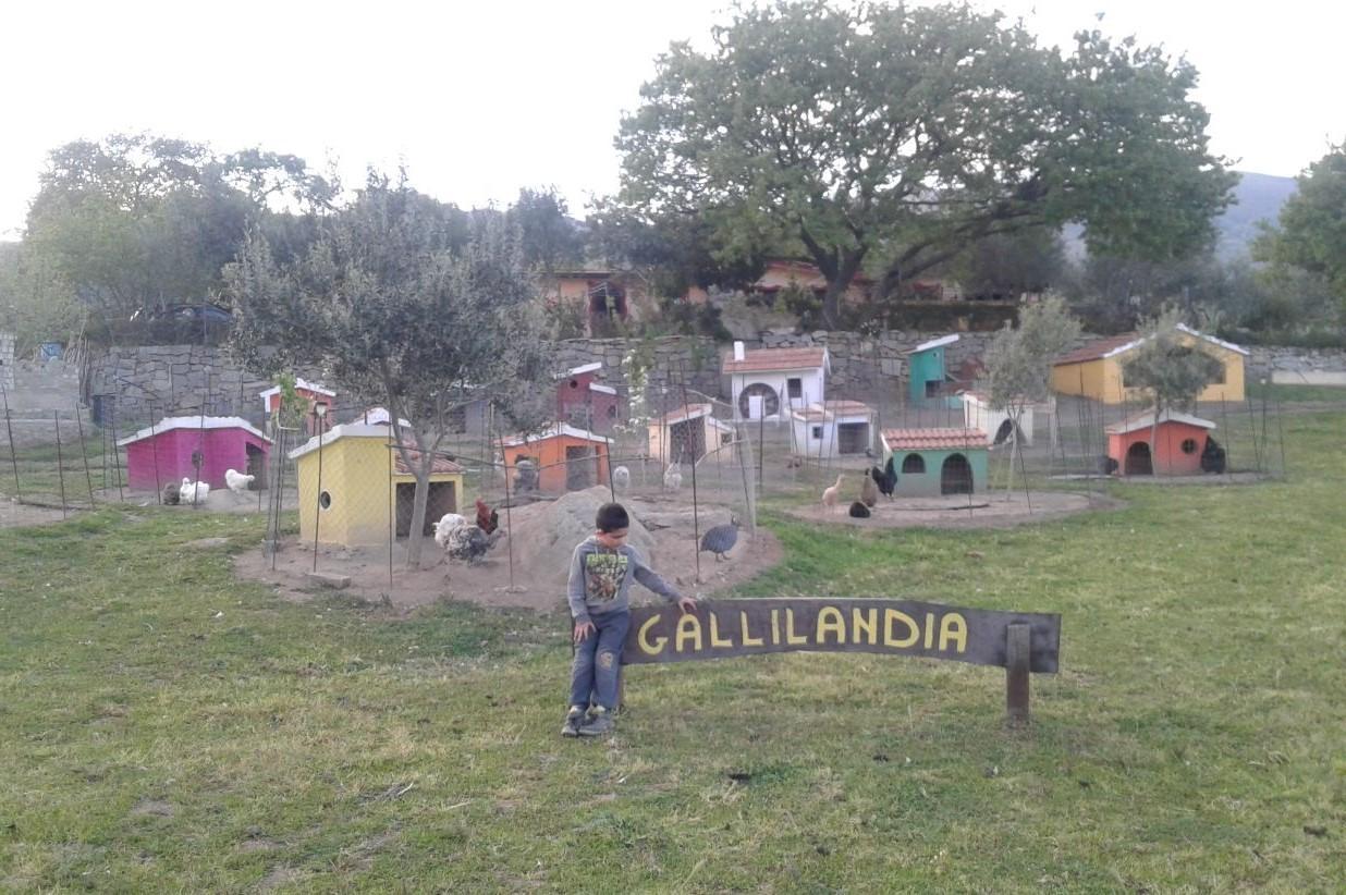 La fattoria didattica "La Fonte" a Burgos