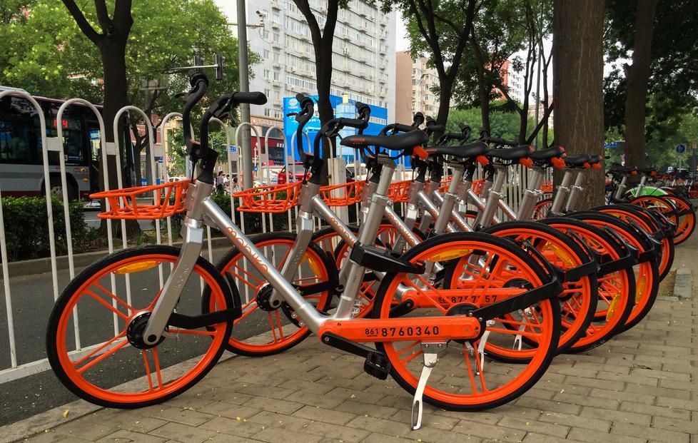 L’ombra dei vandali sul nuovo bike sharing 