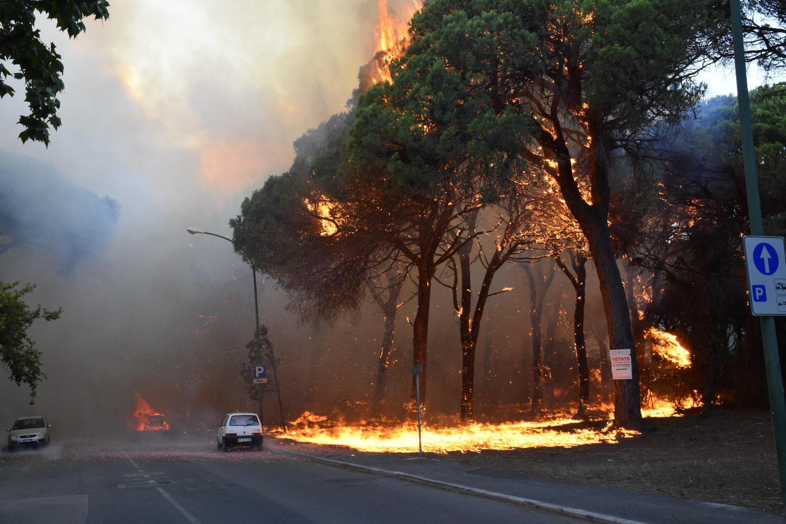 La pineta di Marina di Grosseto a fuoco nel luglio 2017 (foto Agenzia Bf)