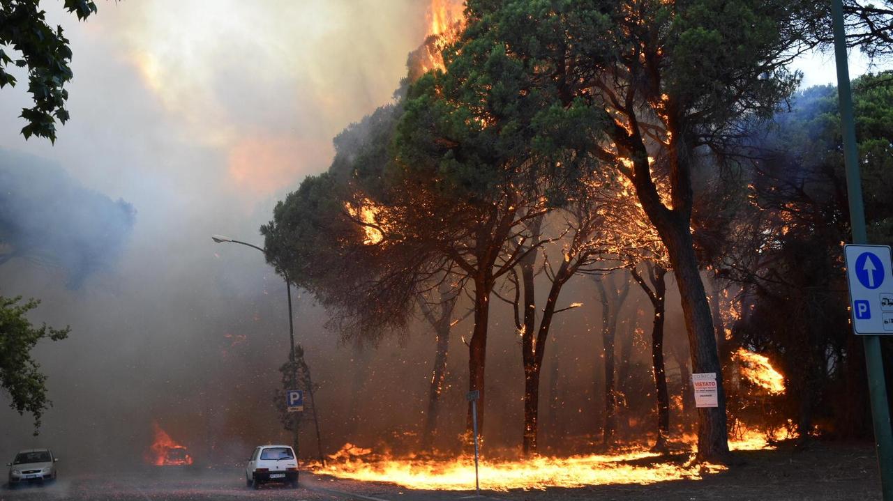 La pineta di Marina di Grosseto a fuoco nel luglio 2017 (foto Agenzia Bf)