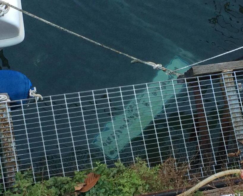Vandali in Venezia, distrutti cartelli stradali e telecamere 