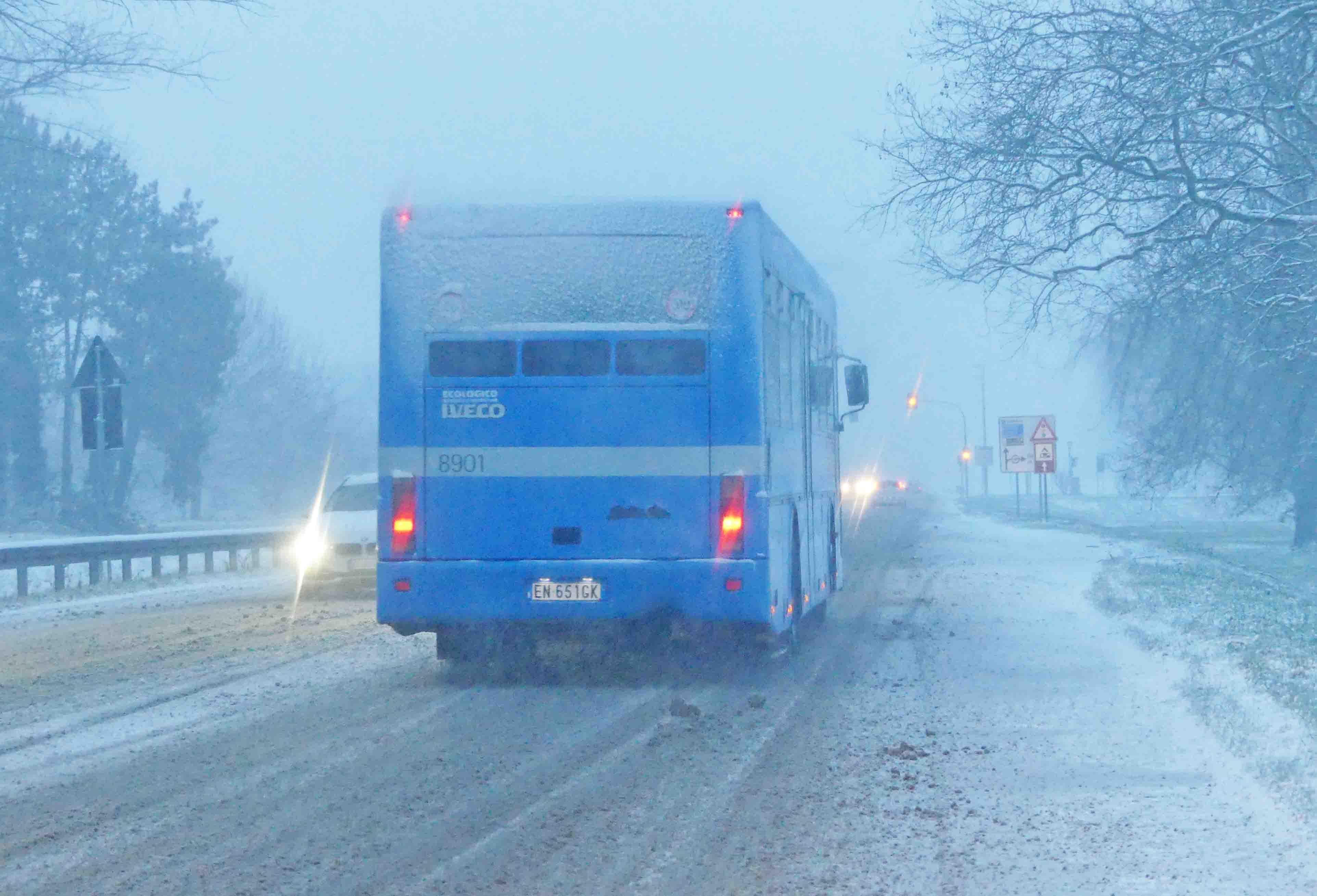 Allerta meteo e scuole che potrebbero sospendere l'attività