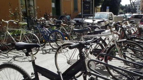 Le biciclette vanno... a ruba e l’ateneo si inventa la app antifurto