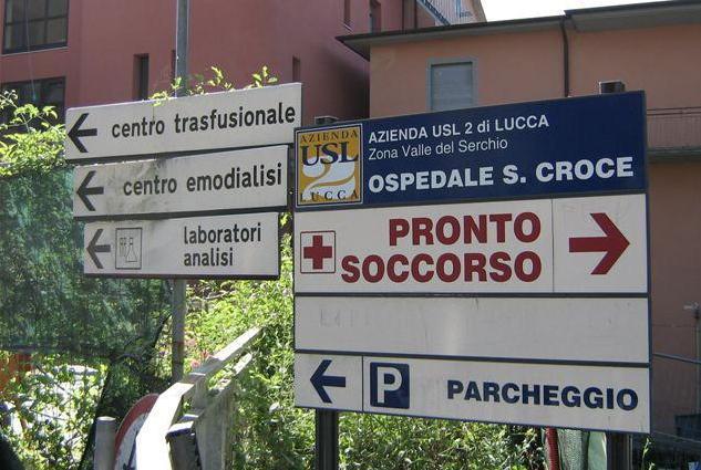 Giornata del rene: iniziative a Barga e a Castelnuovo