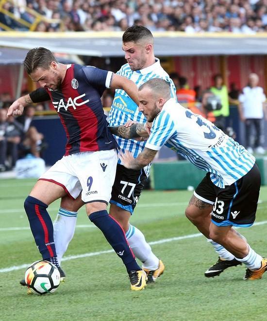 Il modulo del Bologna dipenderà da Verdi Spal senza sorprese