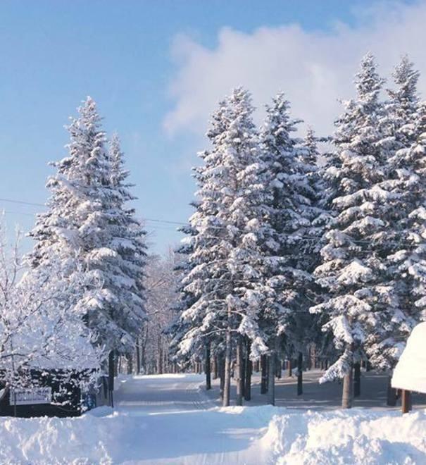 A Lama Mocogno scatta la “Snow Run”, prima corsa sulla neve 