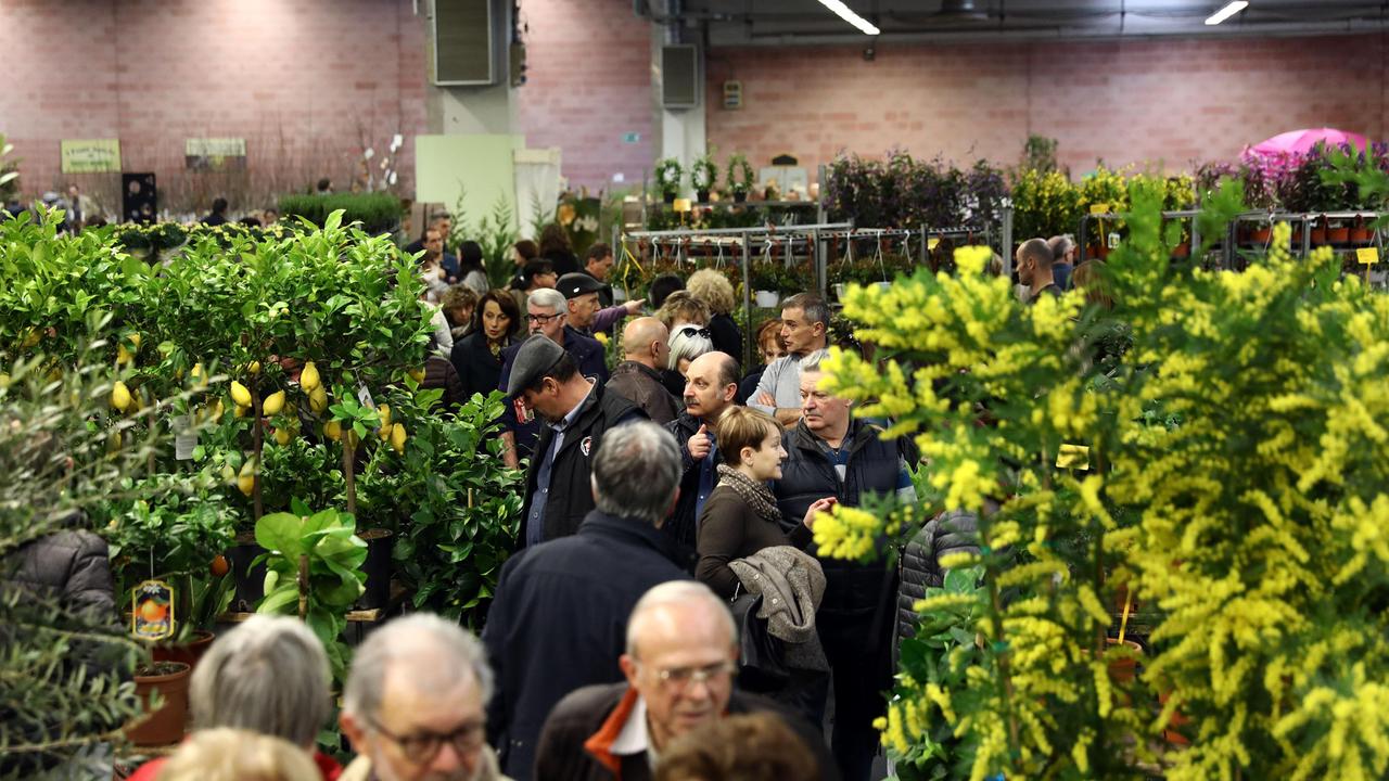 Un'immagine di Verdi Passioni che apre in fiera a Modena