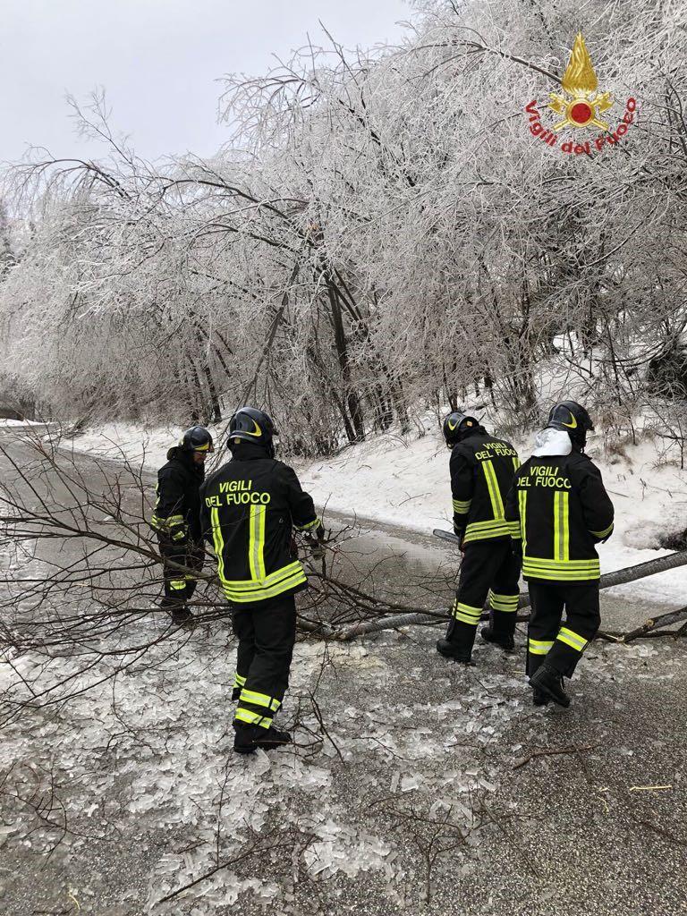 L'intervento dei pompieri per alcuni rami caduti sulla strada