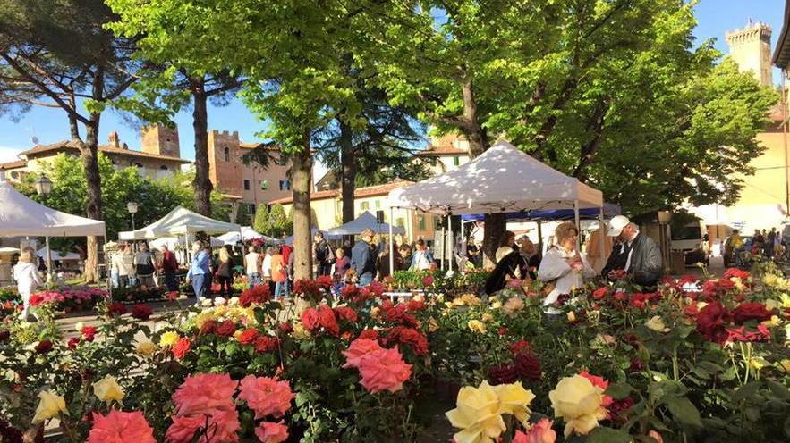 “Vicopisano in fiore”, aperte le iscrizioni