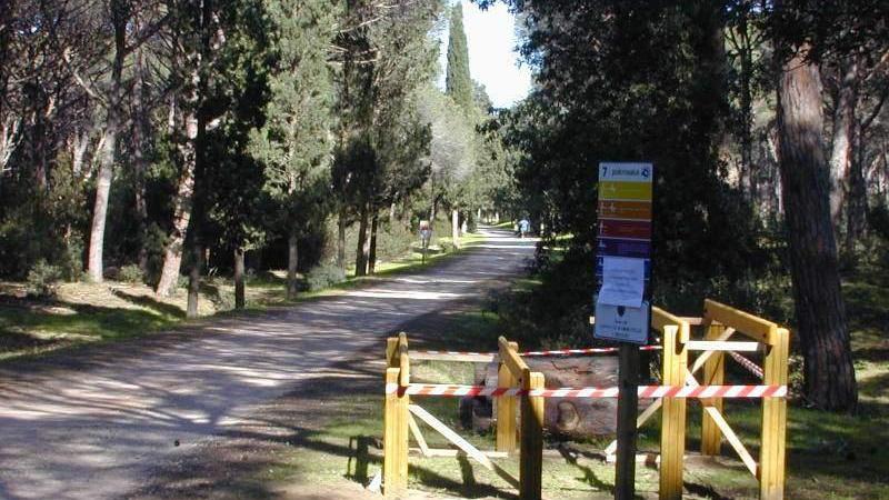 «La Feniglia sta morendo» Sos di Cagnoli per la pineta