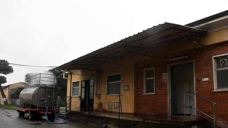 «Marinella è in vendita non è in locazione»