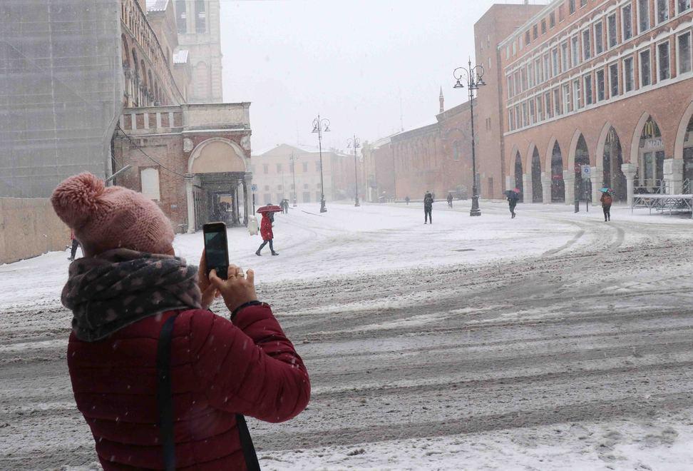 Il crollo delle temperature minaccia pesche e albicocche 