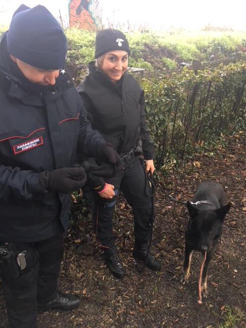 I carabinieri con il cane nella zona del blitz