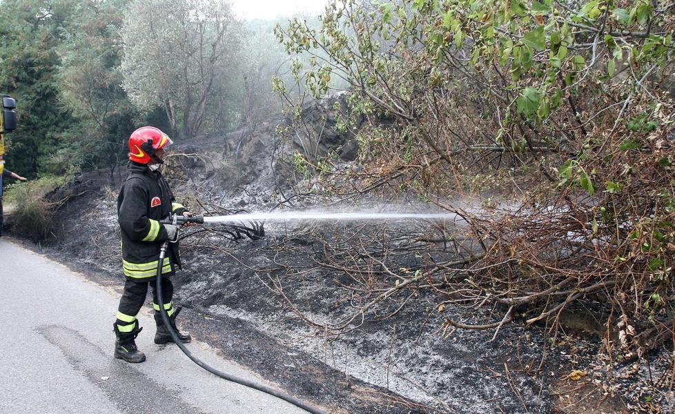 Un incendio a bordo strada come molti di quelli appiccati dalla vivaista piromane
