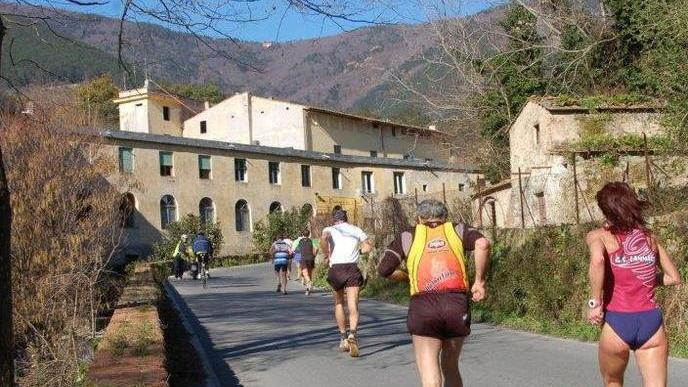 Podismo, a Calci la 12ª edizione del Monte Serra