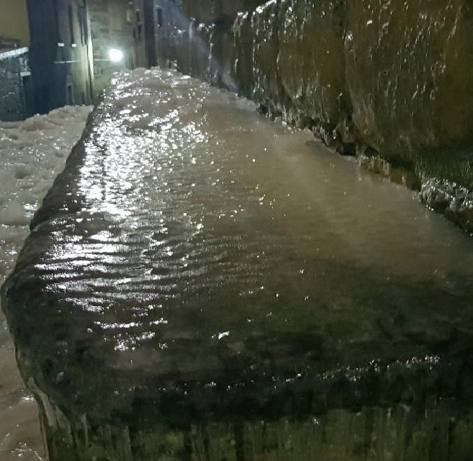 Pioggia ghiacciata, alberi caduti 