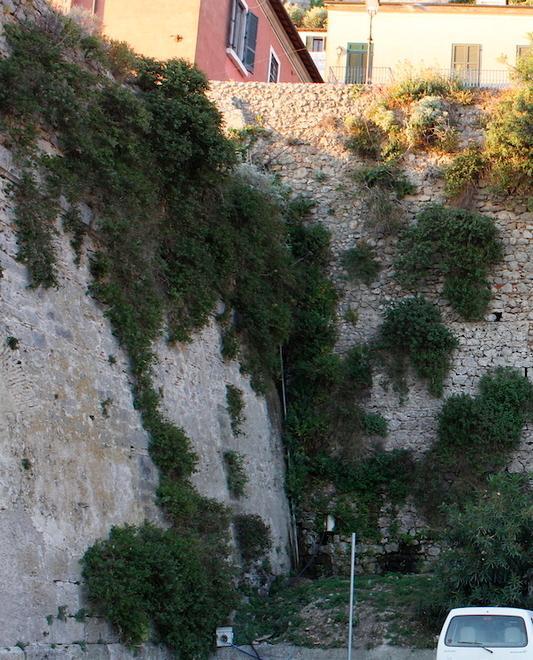 Via le erbacce dalle roccaforti 