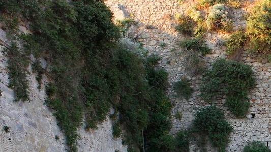Via le erbacce dalle roccaforti