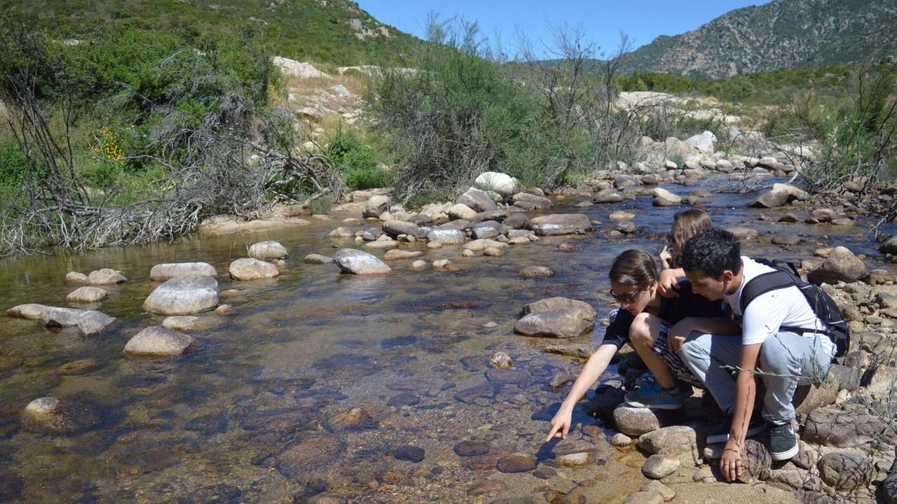 Torpè, nominato il direttore del Parco naturale di Tepilora