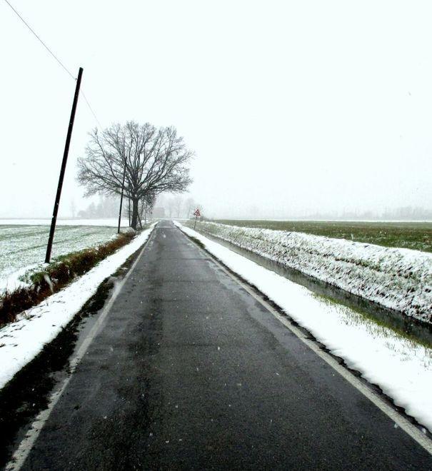 Caccia al maniaco sessuale che si esibisce lungo la strada