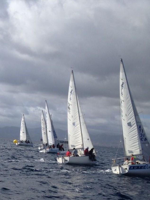 Tutti contro Dolphins nel circuito J24 