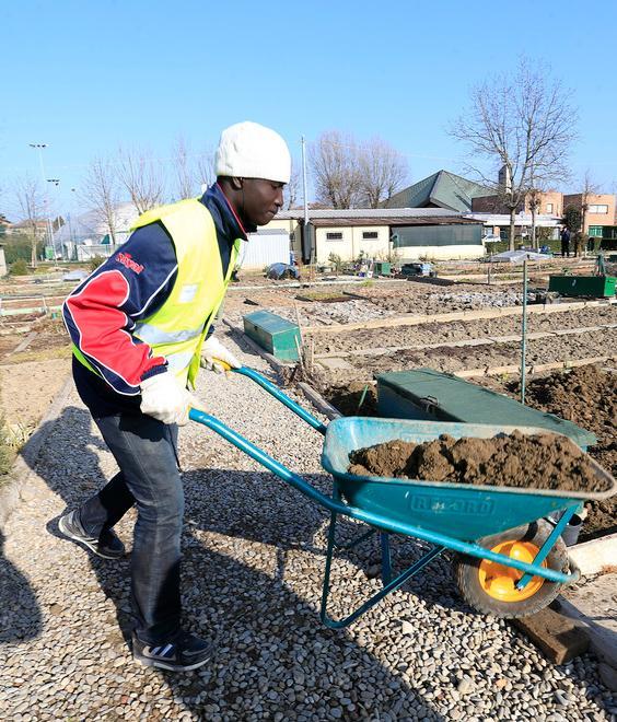 Regole stradali spiegate ai migranti 