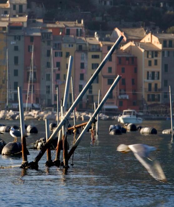 Allevamento di cozze, è il primo in Toscana 
