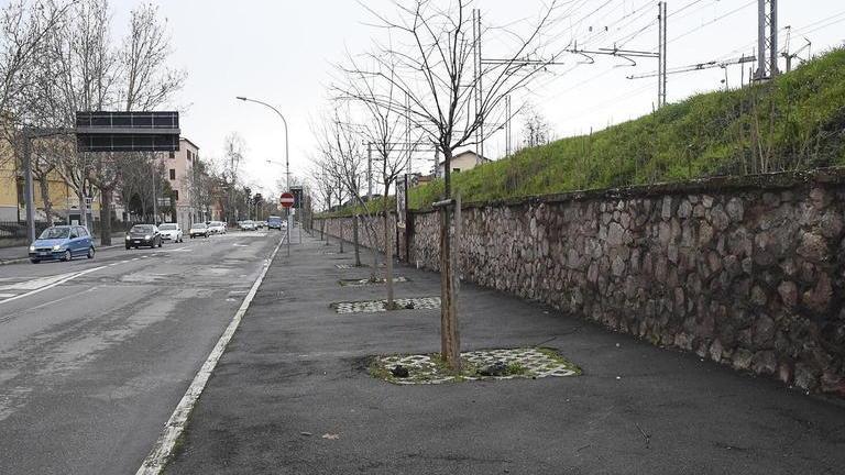 Arrivano in città cinque chilometri di percorsi ciclabili